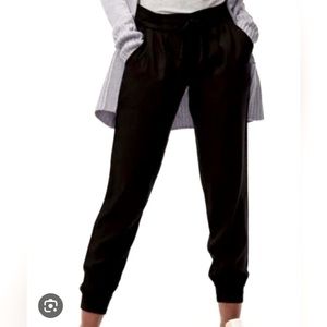 Aritzia Talula Los Feliz Pants